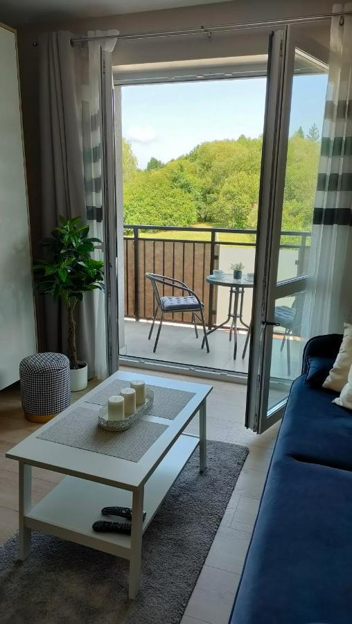 Apartament Azul チェシン エクステリア 写真