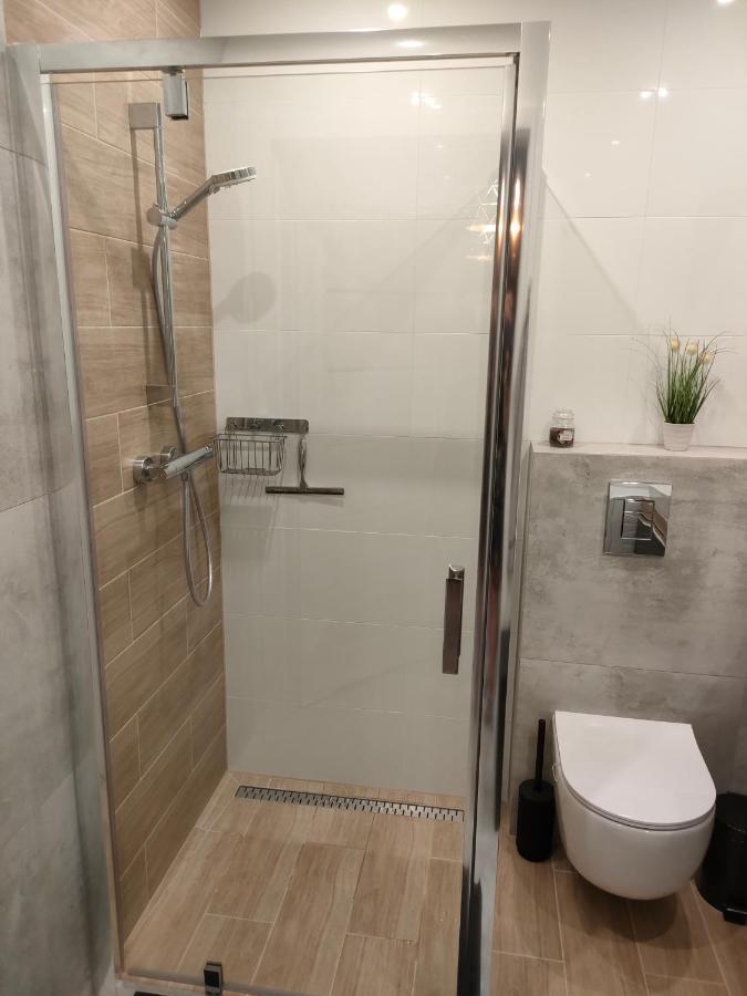 Apartament Azul チェシン エクステリア 写真